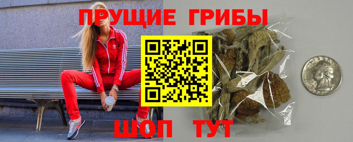 Бахчисарай  Псилоцибиновые грибы Psilocybe  Вход с VPN 
